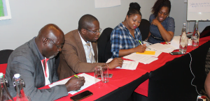 ecde project photo-1